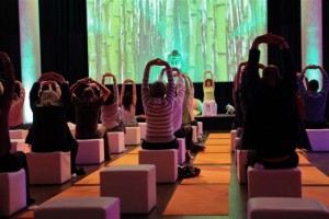 Yoga Yoga