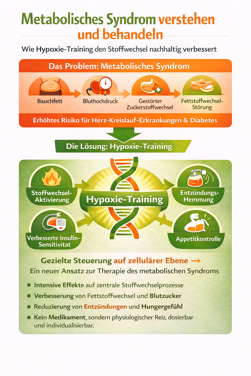 Infografik zum metabolischen Syndrom mit Darstellung der Ursachen wie erhöhter Körperfettanteil, Bluthochdruck, Glukose- und Fettstoffwechselstörung sowie den positiven Effekten von Hypoxie-Training auf Insulinsinsitivität, Fettstoffwechsel, Entzündungshemmung und Appetitkontrolle.