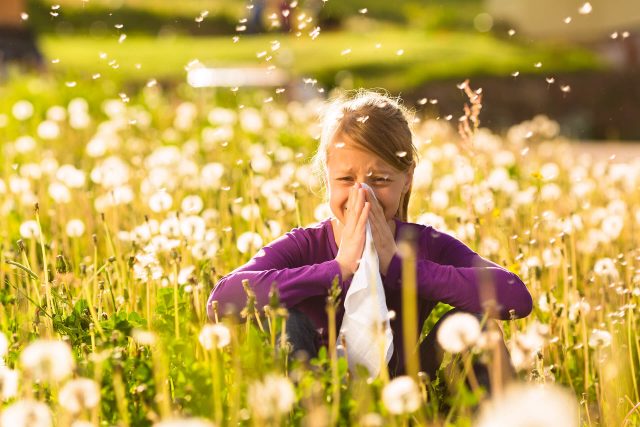 Pollenallergiker aufgepasst: Die Frühblüher kommen!